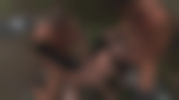 Xcalibur 3   Scene 8