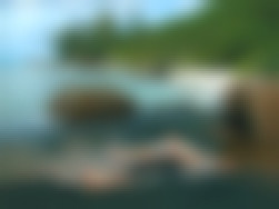 Tropical Illusions 2